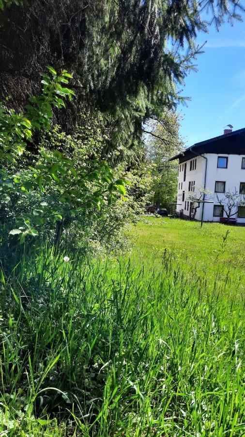 Gaestehaus Post Aigner Greifenburg Bagian luar foto