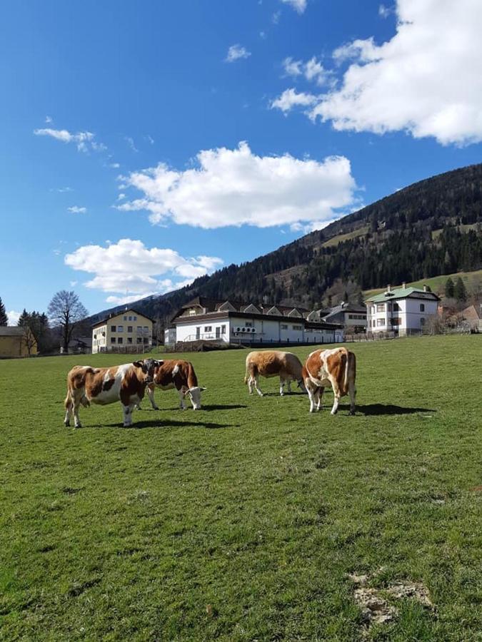 Gaestehaus Post Aigner Greifenburg Bagian luar foto