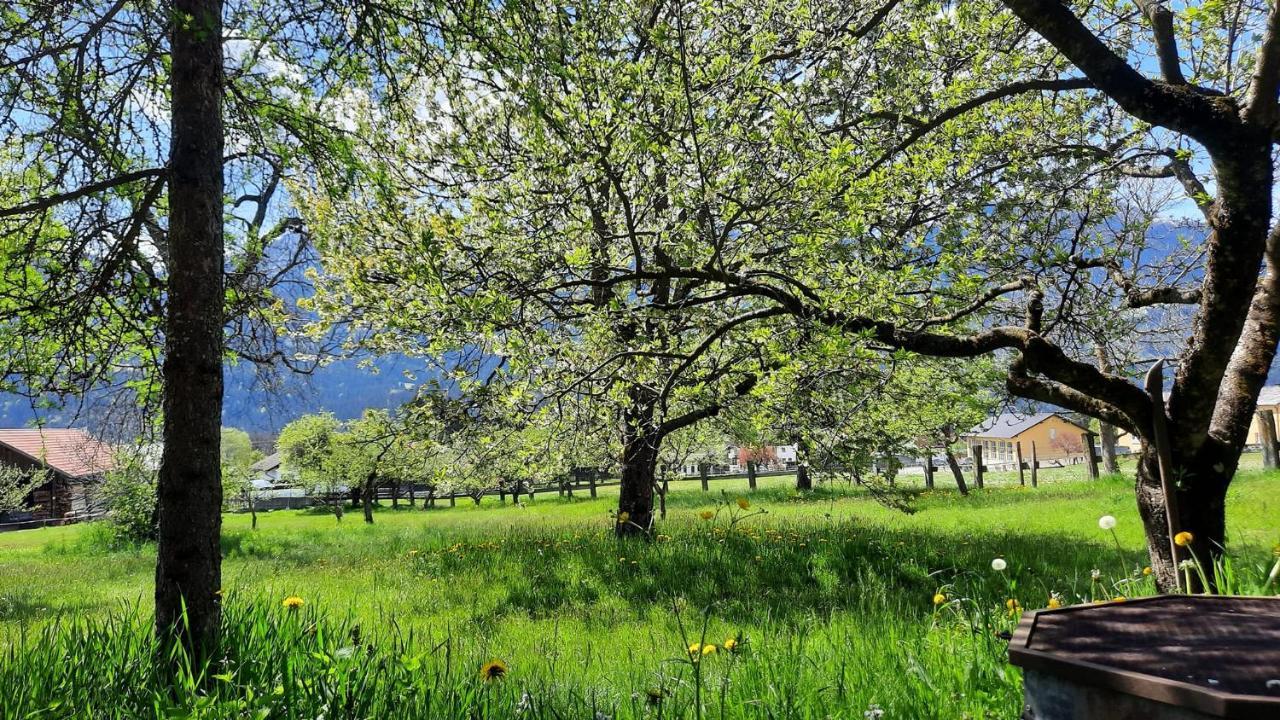 Gaestehaus Post Aigner Greifenburg Bagian luar foto